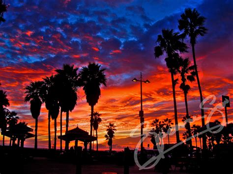 Venice Beach California Wallpaper - WallpaperSafari