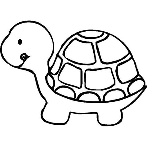 Free Turtle Clipart Black And White, Download Free Turtle Clipart Black And White png images ...