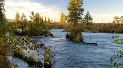 Deschutes National Forest in La Pine - Tours and Activities | Expedia.ca