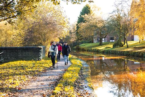 Kidsgrove Canal Nature Recovery Blog #3 - Appetite