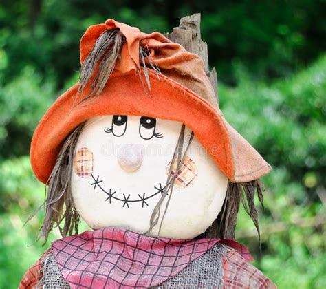 Smiling Fall Scarecrow Face Stock Photos - Image: 12078193