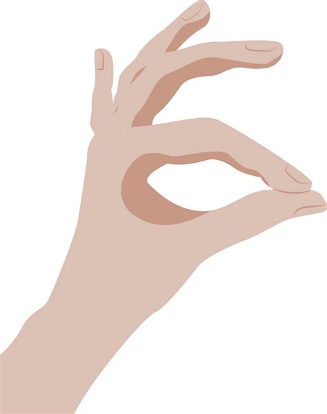 Vector hand showing ok gesture isolated on white background 14013427 ...