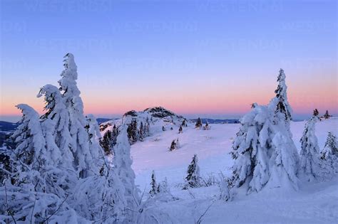 Germany, Bavaria, Bavarian Forest in winter, Bodenmaiser Riegel, snow ...