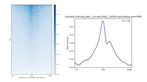 ATAC-seq Analysis Simplified. Get Analysis Reports in Hours | Basepair