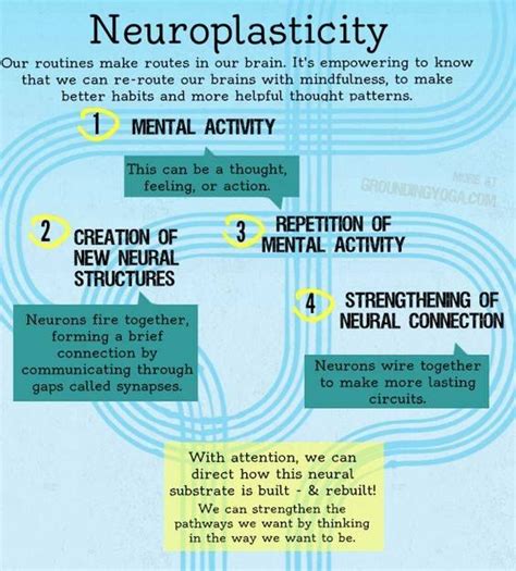 Neuroplasticity simplified. How to habits get wired in the brain & how ...