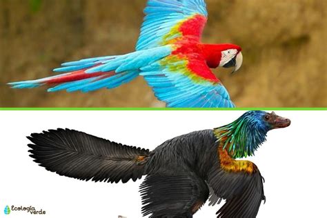 ¿Las aves son dinosaurios? - Descubre su origen