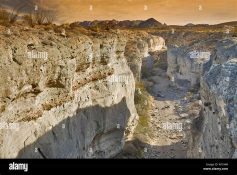 Tuff Canyon with arroyo (dry creek bed) at Chihuahuan Desert in Big ...