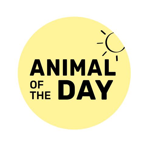 Animal Of The Day