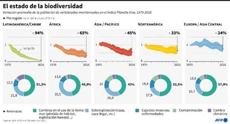 El mundo perdió casi 70% de la fauna salvaje desde 1970, según un ...