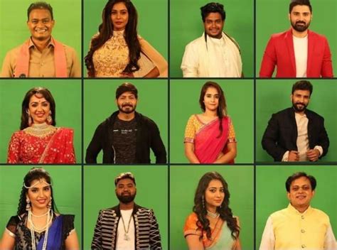 Bigg Boss Telugu 2 contestants list: Here are profiles and pictures of ...