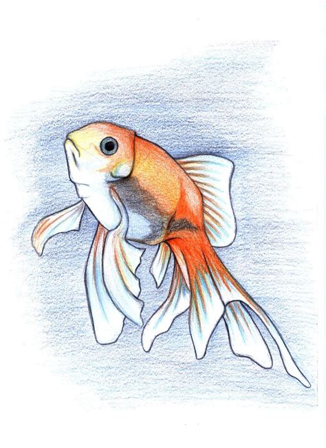 Gold Fish by CrazyMilk on DeviantArt | Fish art, Colorful art, Drawings