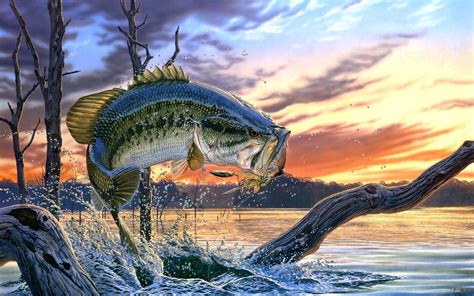 Bass Fishing Wallpapers For Android - Wallpaper Cave