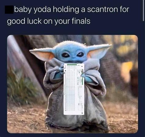 Finals week : r/wholesomememes