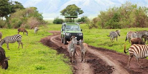 Africa desert safari | Africa tour, Tanzania national parks, National park tours