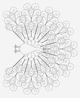 Peacock Feather Coloring Page Dont Eat The Paste  Drawing For sketch template