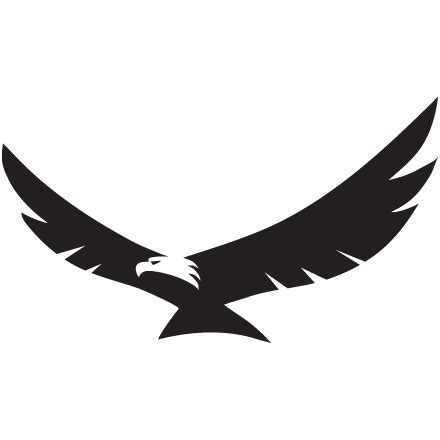 Eagle Wings PNG High-Quality Image | PNG Arts