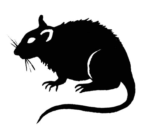 Clipart Rat - ClipArt Best