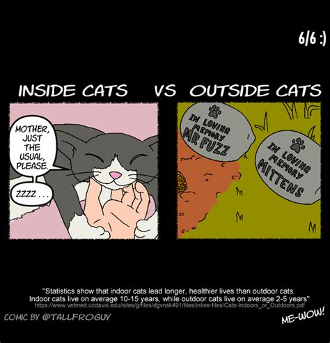 Inside cats vs outside cats : r/Catmemes