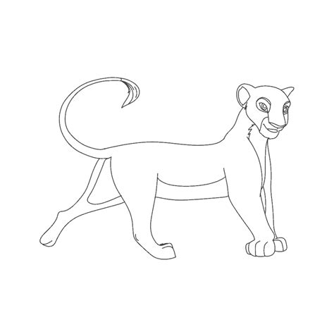 How To Draw Nala In (13) Easy Steps For Kids