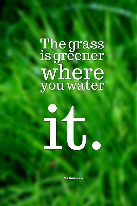 The grass isn t greener – Artofit