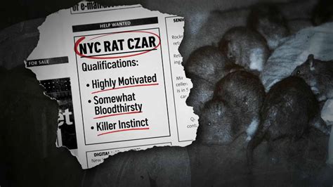 NYC Rat Czar: Meet Kathleen Corradi – NBC New York