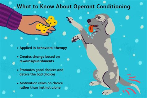 Operant Conditioning to Change Behaviors