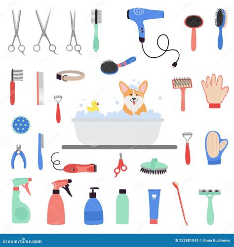 Pet Grooming Tools Set. Dog And Cat Care, Grooming, Hygiene, Health. Corgi Dog Bath Cartoon ...