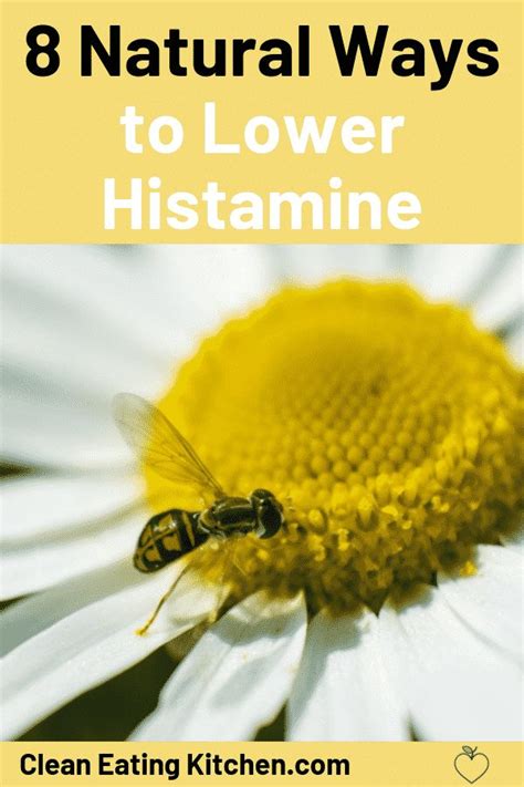 8 Natural Ways to Lower Histamine | Natural antihistamine, Allergic ...