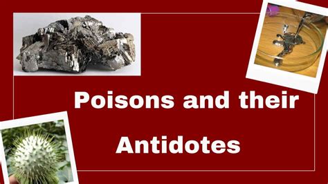 Poisons and their antidotes | toxicology - YouTube