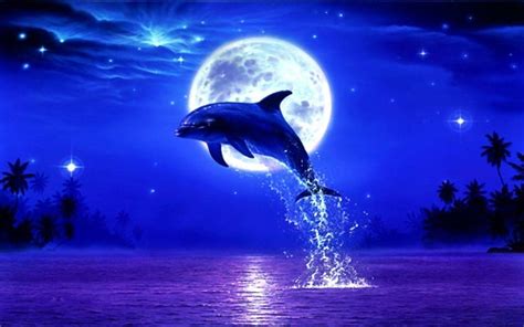 Share more than 55 sunset cute dolphin wallpaper latest - in.cdgdbentre