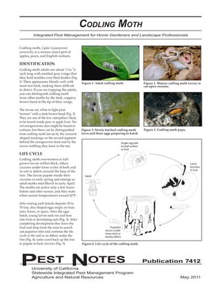 Codling Moth Integrated Pest Management | PDF