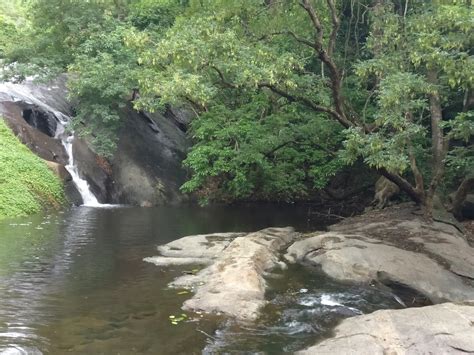 Dhoni Waterfalls , Dhoni Hills Palakkad - Trekking