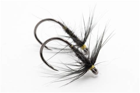 Black Spiders - The FlyFisherThe FlyFisher