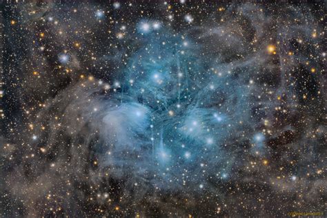 APOD: 2014 February 25 - The Pleiades Deep and Dusty