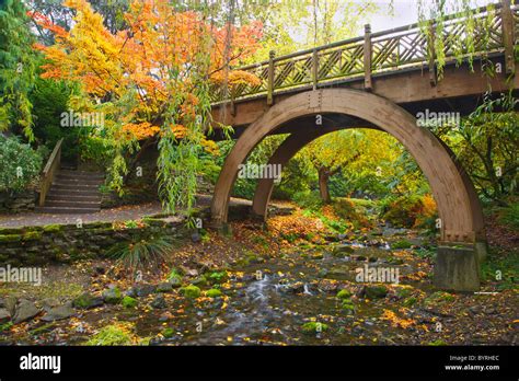 autumn colors in crystal springs rhododendron gardens and a bridge over a stream; portland ...