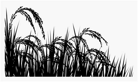 Paddy Field Clipart Black