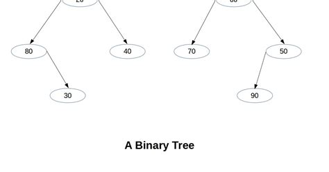 Data Structure: Rooted Binary Tree: An Overview....