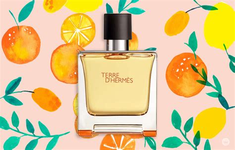 5 Best Citrus Cologne & Fragrances - Modern Men's Guide