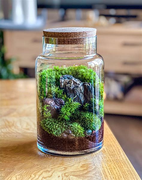 Woodland Moss Terrarium in Large Glass Pillar