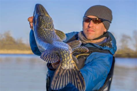 Fishing in the Paraná River from Santa Fe - Book at Civitatis.com