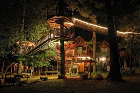 This Is What a House in the Woods Should Look Like (19 pics) - Izismile.com