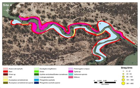 Habitat map of site 4 (Mundic-to-Pike Cutting; fast anabranch; number... | Download Scientific ...