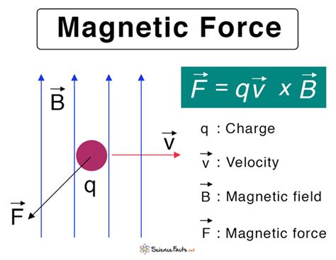 Magnetic Force Equation Example - Tessshebaylo