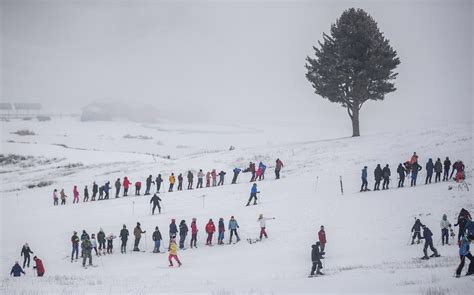 Fresh Snowfall Sparks Surge in Tourism Bookings Across Kashmir