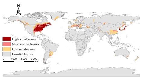 Biology | Free Full-Text | Projecting the Potential Distribution Areas of Ixodes scapularis ...