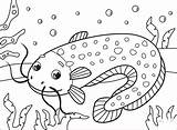Catfish coloring Page  ColouringPages sketch template
