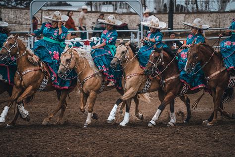 Gallery - Ventura County Fairgrounds