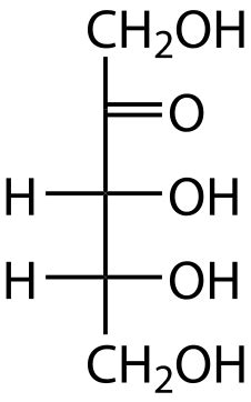 Aldose vs. Ketose | Differences, Structure & Examples - Lesson | Study.com