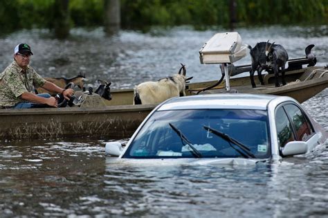 Louisiana Flooding Is ‘Worst Natural Disaster’ Since Superstorm Sandy ...