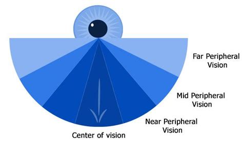 Designing for peripheral vision – Reality on Web | Peripheral vision, Visions, Interactive design